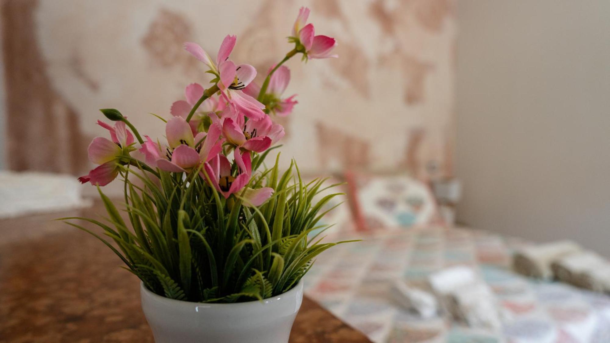 B&B Da Carmela Sant'Ambrogio sul Garigliano ภายนอก รูปภาพ